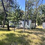 IMG_9978