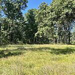 IMG_9980