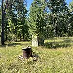 IMG_9981