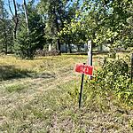 IMG_9986