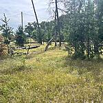 IMG_9989