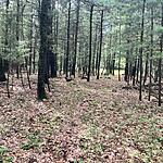 IMG_9995