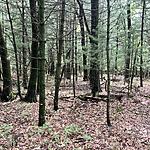 IMG_9996