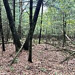 IMG_9998