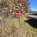 IMG_0239