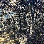 IMG_0247