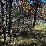 IMG_0249