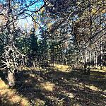 IMG_0251