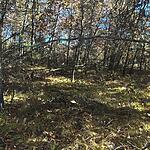 IMG_0253