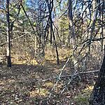 IMG_0256