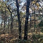 IMG_0257