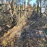 IMG_0269